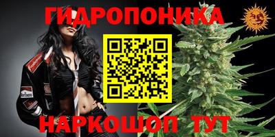 хмурый Гусев