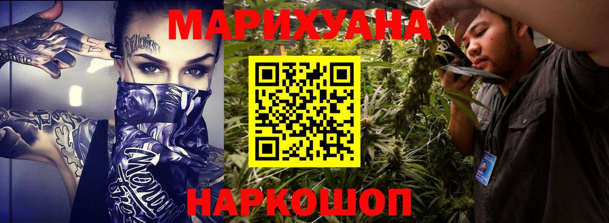 Бошки марихуана планчик  Вход с VPN  Нерюнгри  Марихуана тримм  Каннабис планчик 